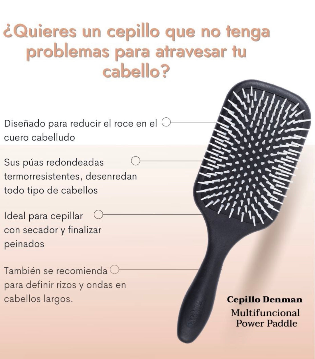 Cepillo Multifuncional Power Paddle