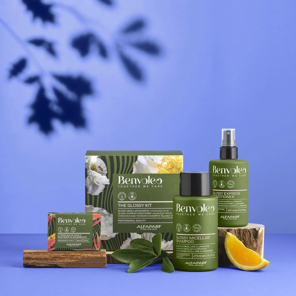ALFAPARF BENVOLEO The Glossy Kit