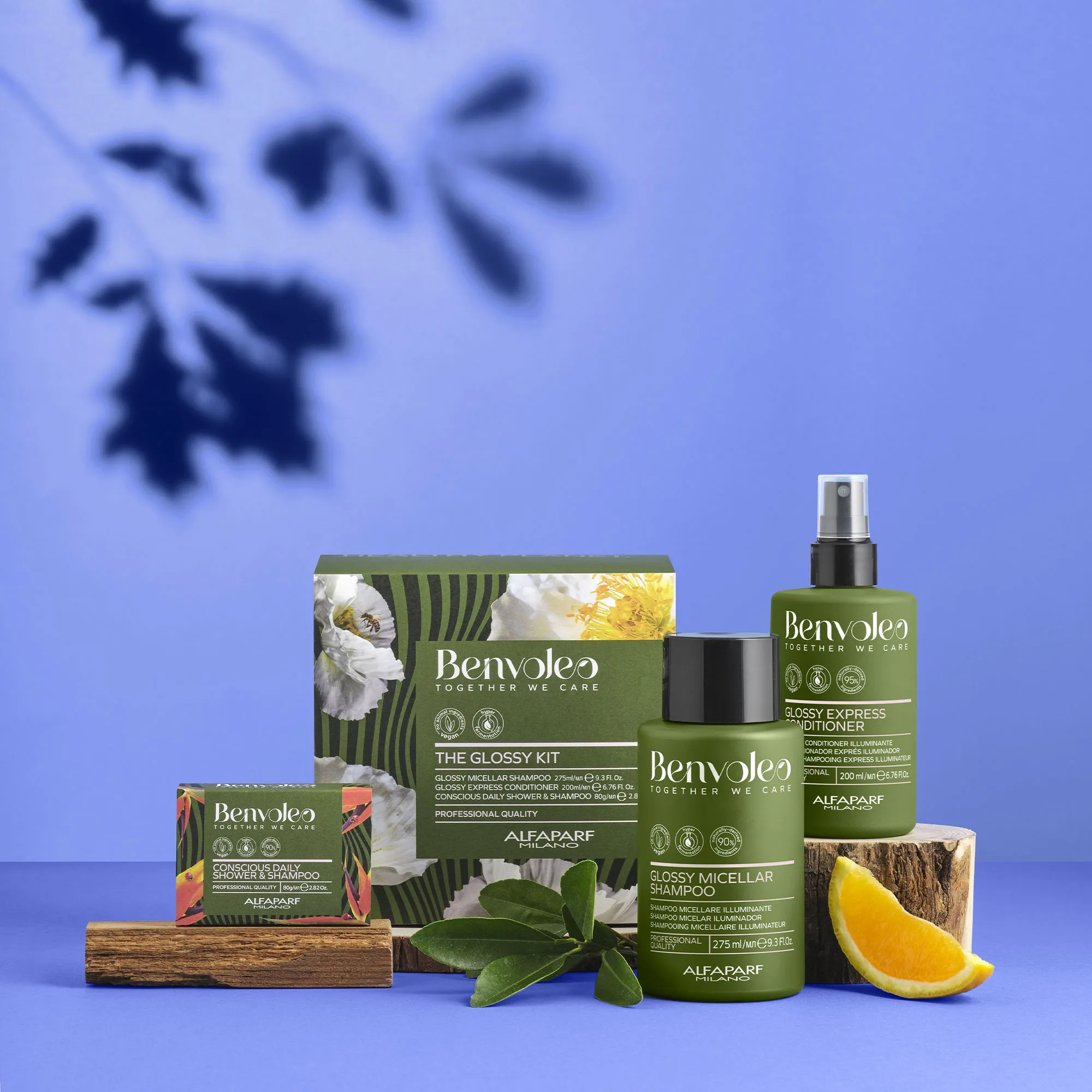 ALFAPARF BENVOLEO The Glossy Kit
