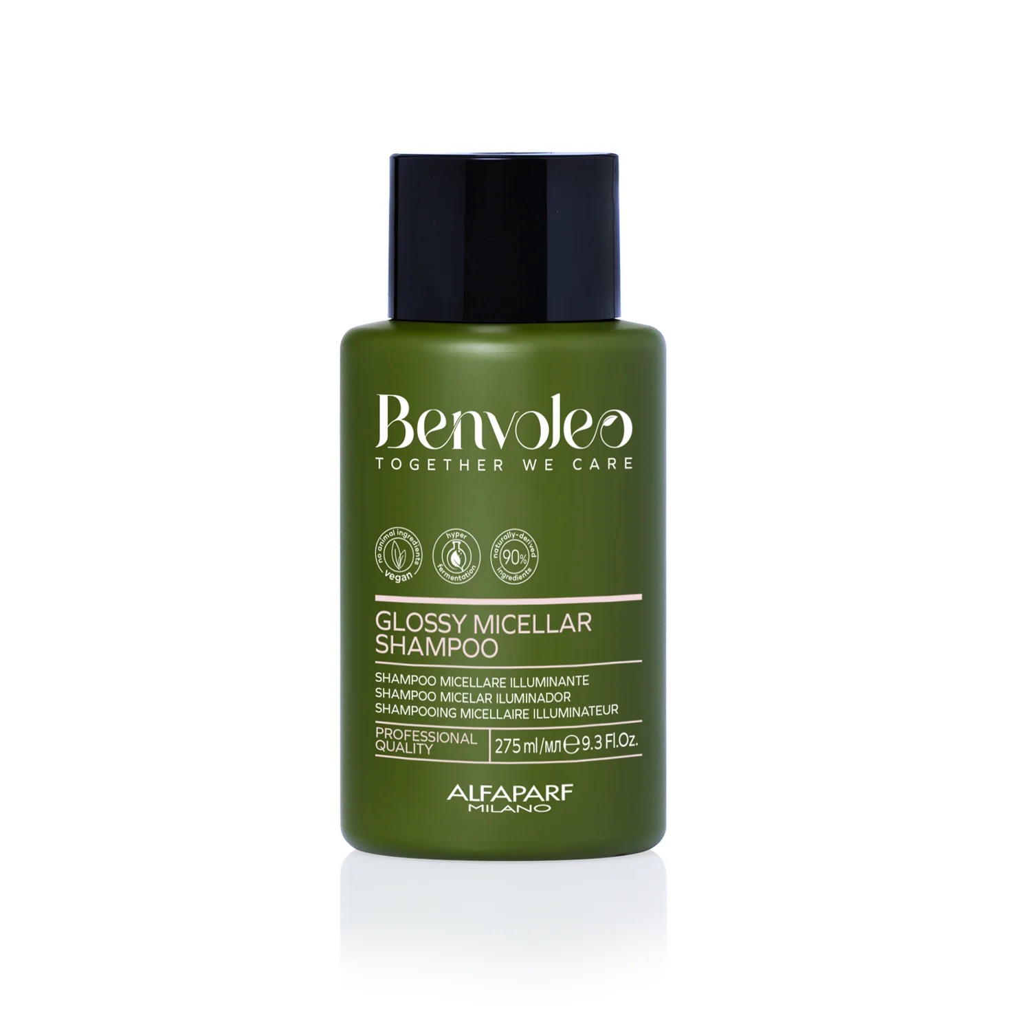 ALFAPARF BENVOLEO The Glossy Kit